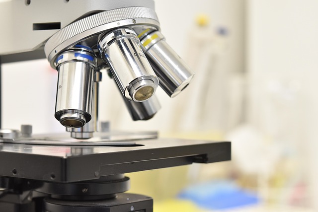 聚氨酯高回彈聚醚在汽車座椅、靠背和頭枕中的應(yīng)用及性能評估